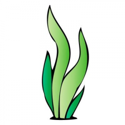 Green Wavy Seaweed Wall Decal | Clip art, Free clipart ...