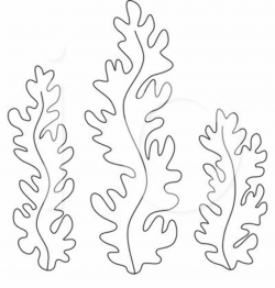 Gallery For > Seaweed Outline | Ocean crafts, Coloring pages ...