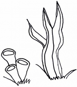 Free Seaweed Cliparts, Download Free Clip Art, Free Clip Art ...