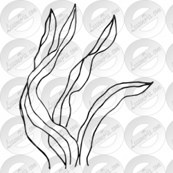 Seaweed Outline for Classroom / Therapy Use - Great Seaweed ...