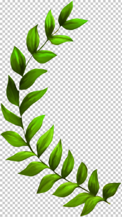 Seagrass Plant Seaweed , grass, green leaf art PNG clipart ...