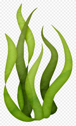 Image Result For Seaweed Clipart Silhouette Ocean Drawing ...