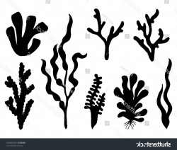 HD Black Seaweed Silhouette File Free ~ Vector Images Design