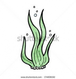 seaweed template - Yahoo Image Search Results | Step by step ...