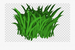 Transparent Seaweed Clipart Seaweed Kelp Clip Art ...