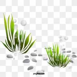 Seaweed Png, Vector, PSD, and Clipart With Transparent ...