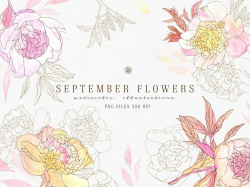 September Flowers vol.2 by Graphics Collection on Dribbble