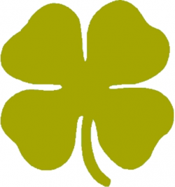 Collection of free Clivers clipart gold shamrock. Download on UI Ex