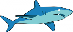 Free Shark Clipart