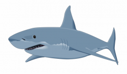 Shark Png Clipart Image - Great White Shark Clipart Free PNG Images ...