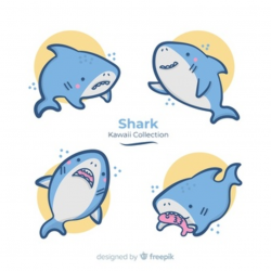 Shark Vectors, Photos and PSD files | Free Download