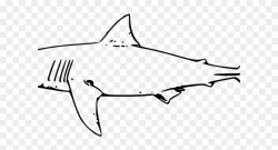 Great White Shark Clipart Pink - Png Download (#2749744) - PinClipart