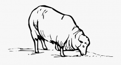Sheep Eating - Sheep Eating Black And White , Transparent ...