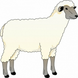 Free sheep clip art pictures - Clipartix