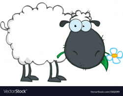 Royalty Free RF Clipart White Sheep Cartoon
