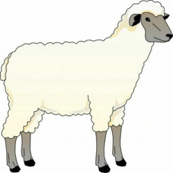 Pictures Of Sheep - Cliparts.co in 2019 | Art, Sheep, Clip art
