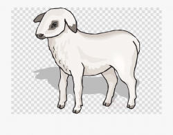 Lamb Clipart Sheep - Pink Youtube Play Button #343765 - Free ...