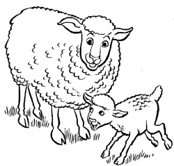 Sheep black and white sheep lamb clipart black and white ...