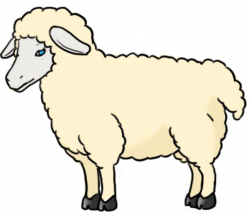 Free Sheep Drawing, Download Free Clip Art, Free Clip Art on ...