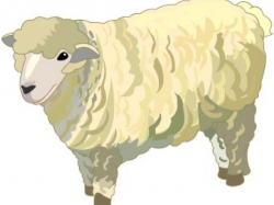 Lamb Clipart real 1 - 340 X 270 Free Clip Art stock ...