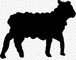 Sheep Cartoon clipart - Sheep, Goat, Silhouette, transparent ...