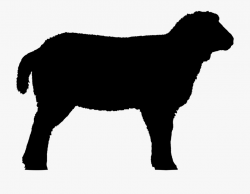 Shadow Clipart Lamb - Sheep Silhouette Clip Art, Cliparts ...