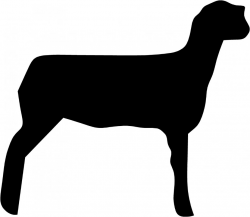 Free Sheep Silhouette Images, Download Free Clip Art, Free ...