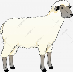Download for free 10 PNG Sheep clip art simple top images at ...