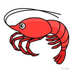 Free Shrimp Clipart Image｜Illustoon