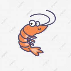 Realism Shrimp Shrimp, Shrimp Clipart, Realism, Shrimp PNG ...