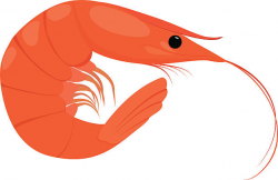 Shrimp Clipart adorable 18 - 612 X 397 Free Clip Art stock ...