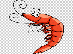 Drawing Shrimp PNG, Clipart, Animals, Art, Artwork, Can ...
