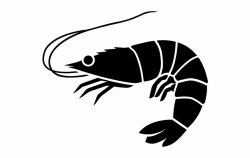 Free Shrimp Clipart Black And White, Download Free Clip Art ...