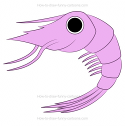 How to draw a cartoon shrimp