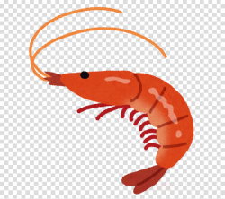 Shrimp Cartoon clipart - Shrimp, Crab, Food, transparent ...