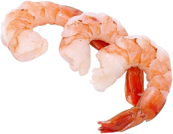 Shrimp food clipart - ClipartPost