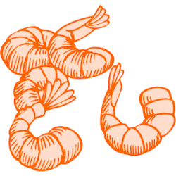 Free Shrimp Clipart, Download Free Clip Art, Free Clip Art ...
