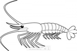 Download for free 10 PNG Shrimp clipart black top images at ...