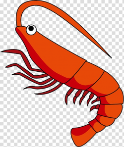 Download for free 10 PNG Shrimp clipart prawn top images at ...