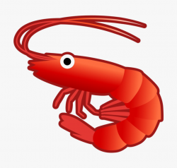 Ocean Shrimp Transparent Background - Shrimp Png Transparent ...