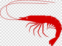 Caridean Shrimp Crab Prawn, Udang transparent background PNG ...
