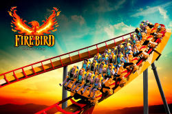 NEW! Firebird | Six Flags America