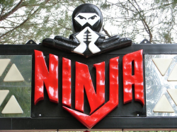 Ride Profile: Ninja – The Coaster Guy