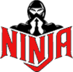 Ninja Logo (Color) by ThrillSeeker1999 on DeviantArt