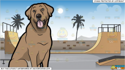 A Labrador Pet Dog and Skateboard Park Background