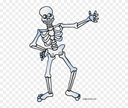 Cartoon Body - Skeleton Clipart, HD Png Download - 476x648 ...