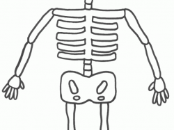 Bones clipart easy, Bones easy Transparent FREE for download ...