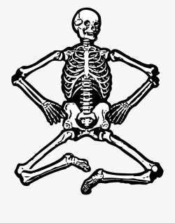 Skeleton Clip Art Free Clipart Images - Human Skeleton ...