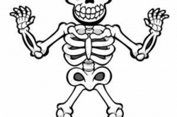 Download for free 10 PNG Skeleton clipart kids top images at ...