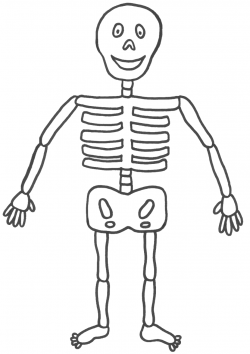 Free Skeleton Pictures For Kids, Download Free Clip Art ...